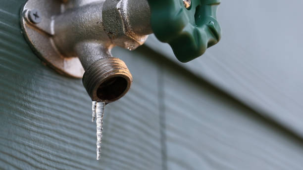 Best Residential Plumbing Services  in Paulsboro, NJ
